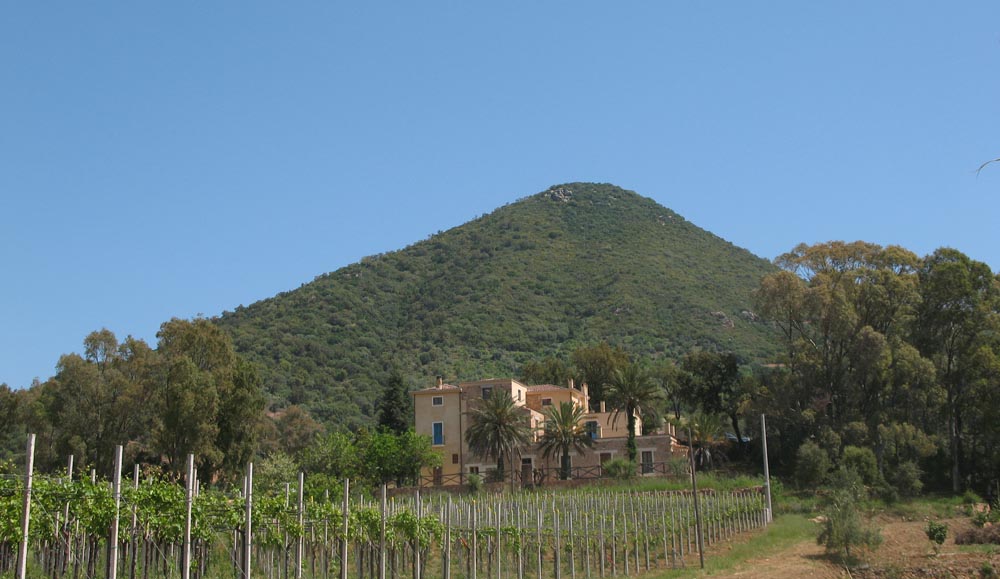 Azienda vista verso monte Astili