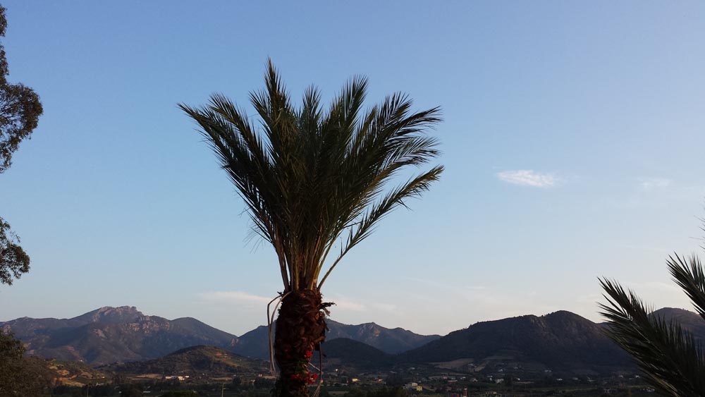 In lontananza,a sinstra, il Monte Ferru