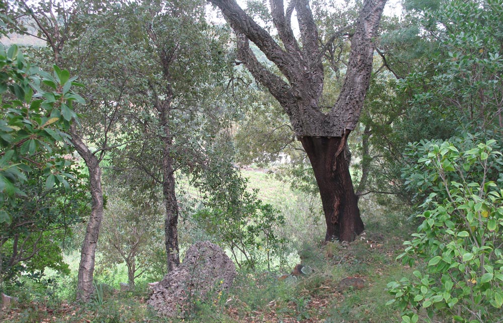 Nei pressi dell'agriturismo