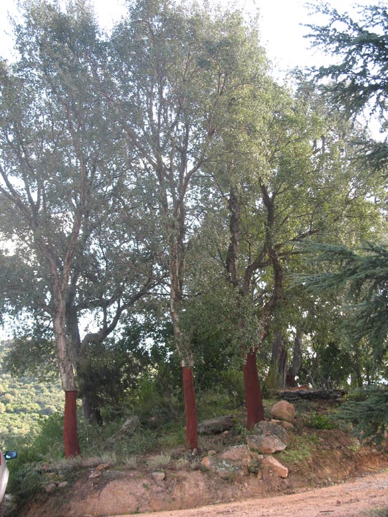 Nei pressi dell'agriturismo