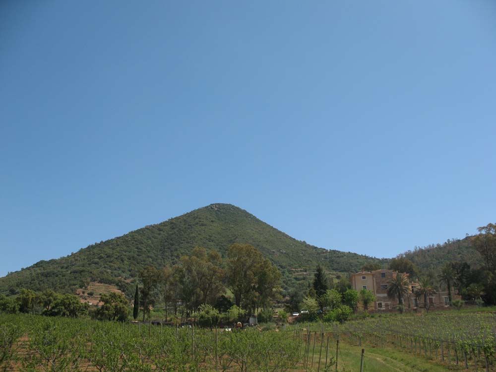 Azienda vista verso monte Astili